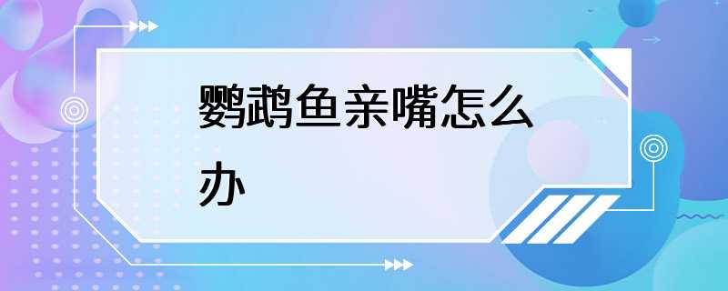 鹦鹉鱼亲嘴怎么办