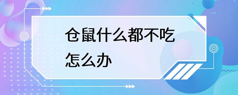 仓鼠什么都不吃怎么办