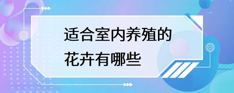 适合室内养殖的花卉有哪些