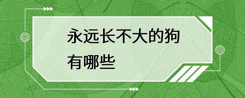 永远长不大的狗有哪些