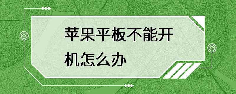 苹果平板不能开机怎么办