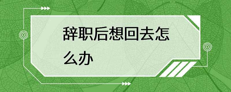 辞职后想回去怎么办