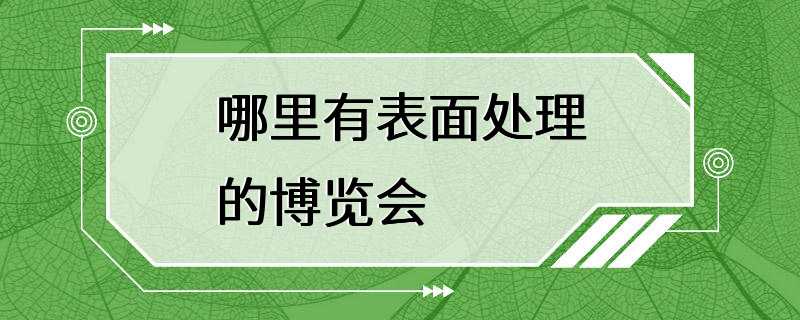 哪里有表面处理的博览会