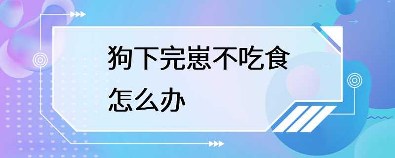 狗下完崽不吃食怎么办