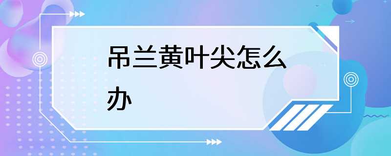 吊兰黄叶尖怎么办