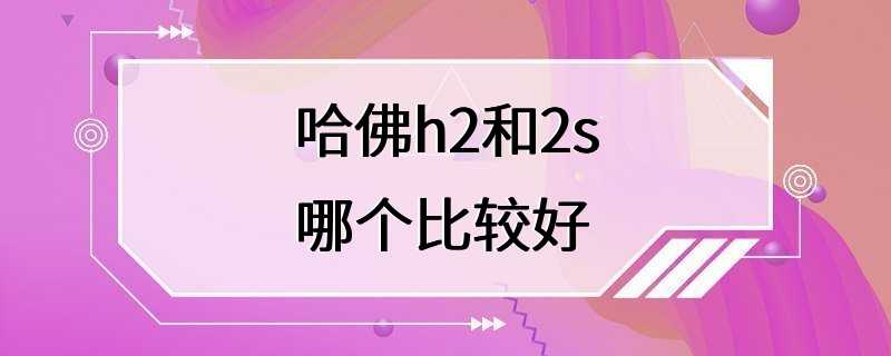 哈佛h2和2s哪个比较好