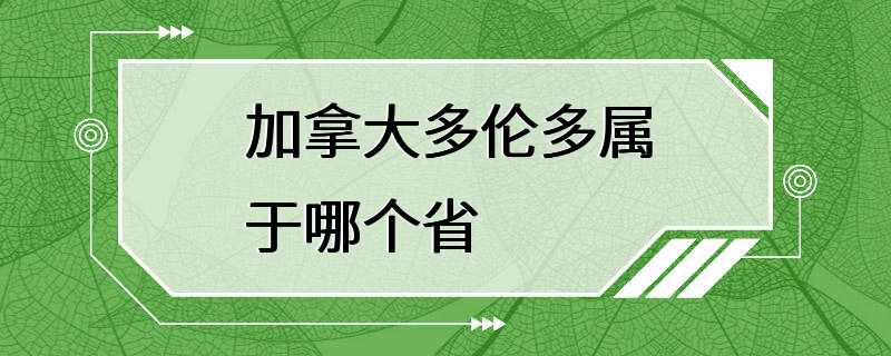 加拿大多伦多属于哪个省