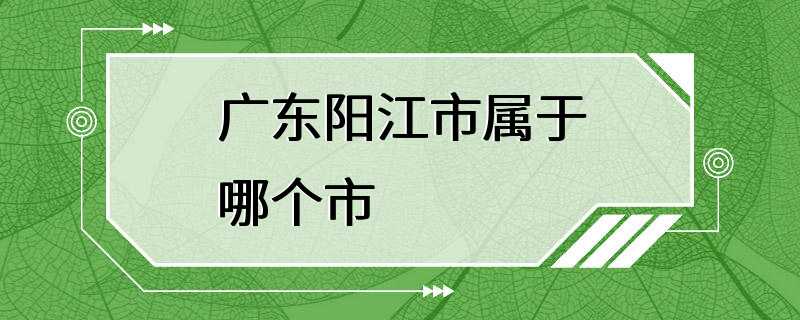 广东阳江市属于哪个市