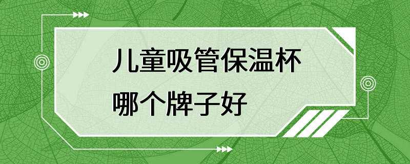 儿童吸管保温杯哪个牌子好