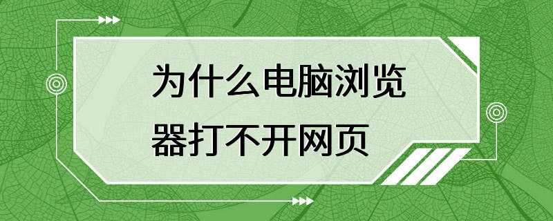 为什么电脑浏览器打不开网页