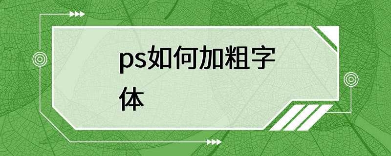 ps如何加粗字体