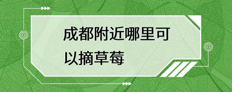 成都附近哪里可以摘草莓