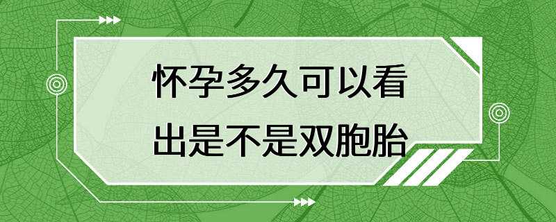 怀孕多久可以看出是不是双胞胎