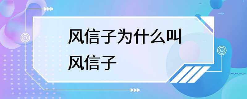 风信子为什么叫风信子