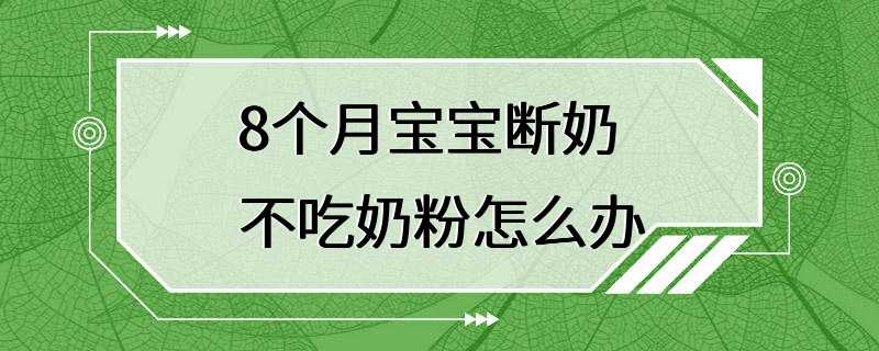 8个月宝宝断奶不吃奶粉怎么办