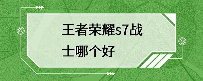 王者荣耀s7战士哪个好