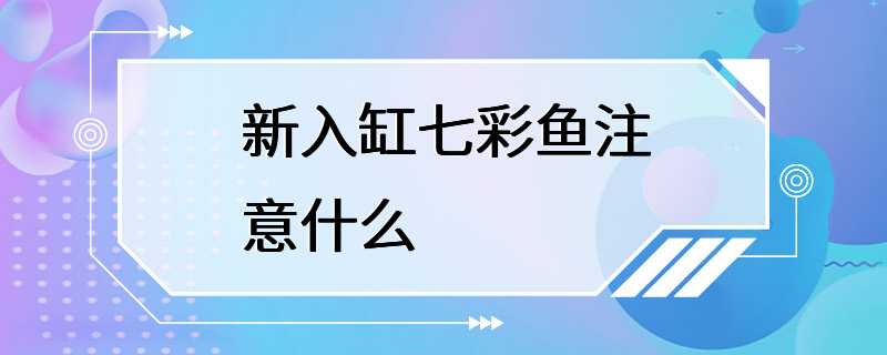 新入缸七彩鱼注意什么