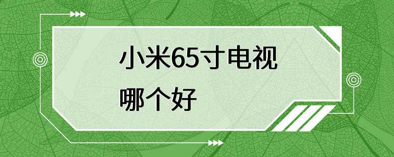 小米65寸电视哪个好