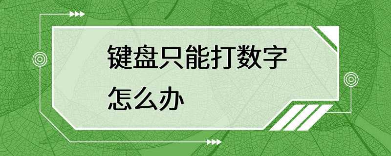 键盘只能打数字怎么办