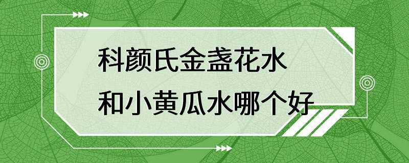 科颜氏金盏花水和小黄瓜水哪个好