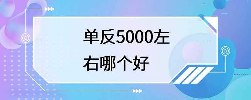 单反5000左右哪个好