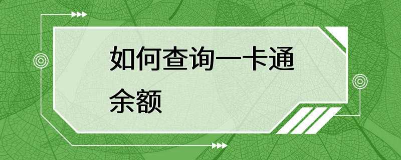 如何查询一卡通余额