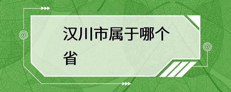 汉川市属于哪个省