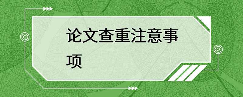 论文查重注意事项