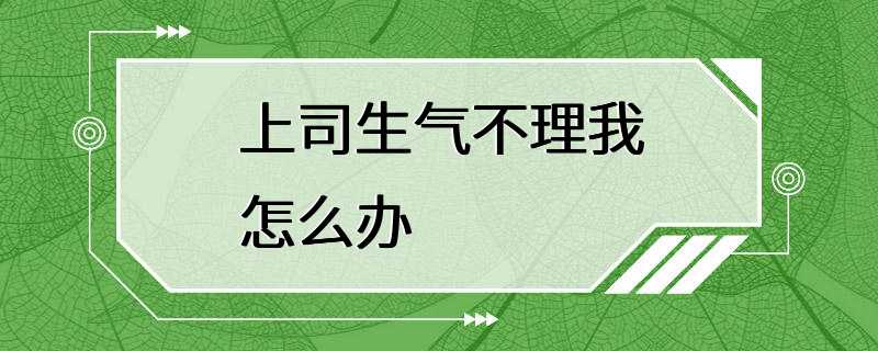 上司生气不理我怎么办