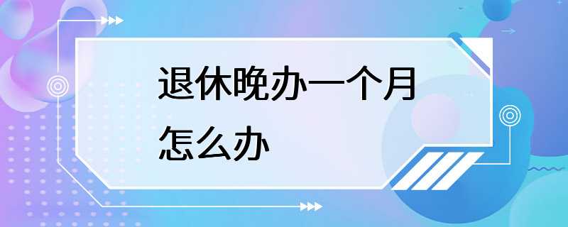 退休晚办一个月怎么办