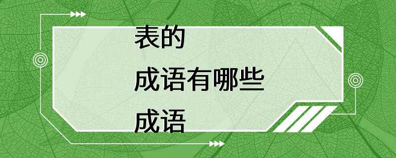 表的成语有哪些成语