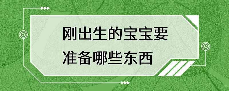 刚出生的宝宝要准备哪些东西