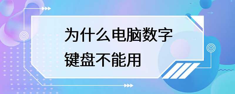 为什么电脑数字键盘不能用