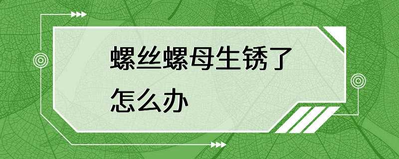 螺丝螺母生锈了怎么办