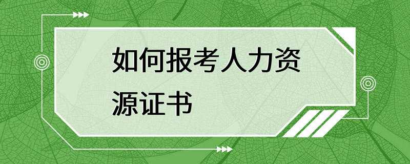 如何报考人力资源证书