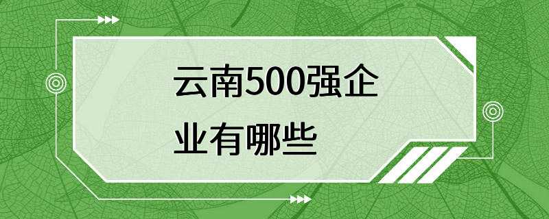 云南500强企业有哪些