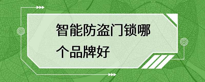 智能防盗门锁哪个品牌好