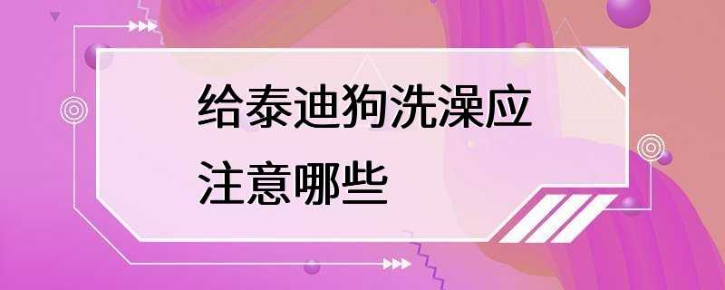 给泰迪狗洗澡应注意哪些