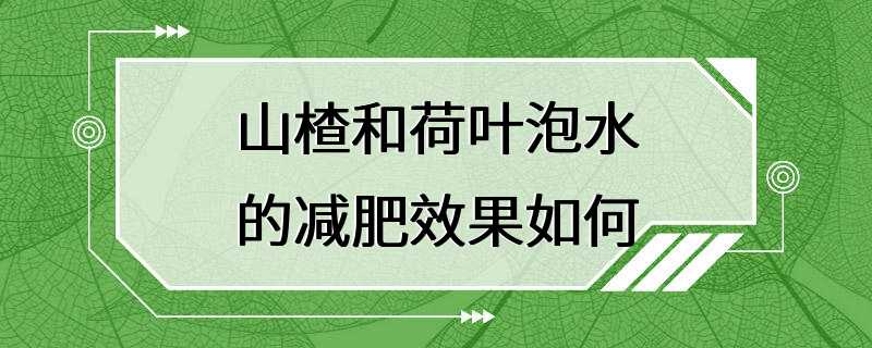 山楂和荷叶泡水的减肥效果如何