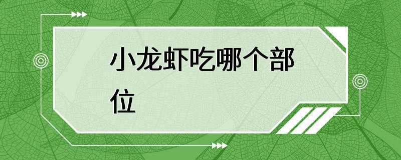 小龙虾吃哪个部位