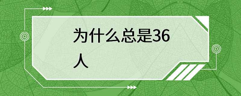 为什么总是36人