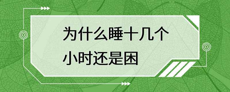 为什么睡十几个小时还是困