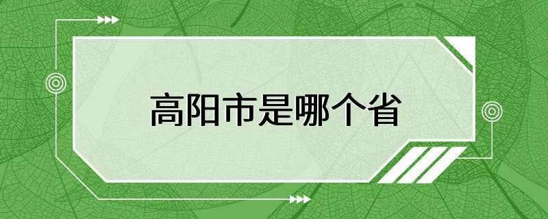 高阳市是哪个省