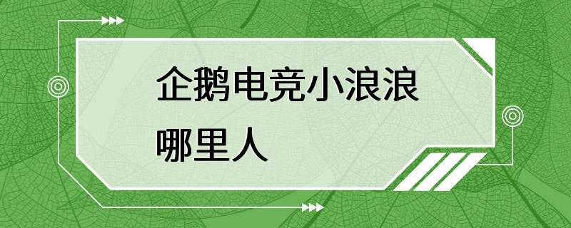 企鹅电竞小浪浪哪里人