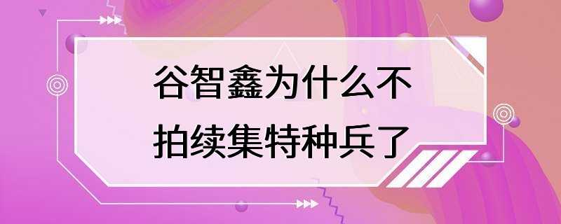 谷智鑫为什么不拍续集特种兵了