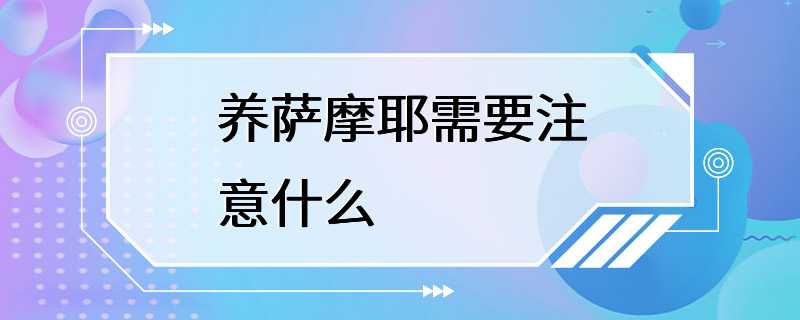 养萨摩耶需要注意什么