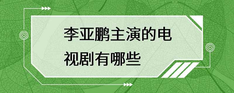 李亚鹏主演的电视剧有哪些