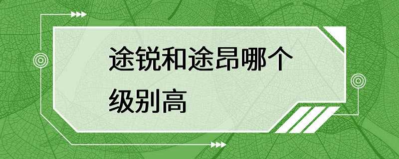 途锐和途昂哪个级别高