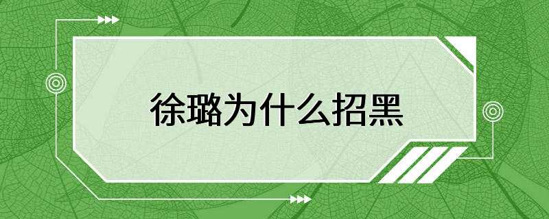 徐璐为什么招黑