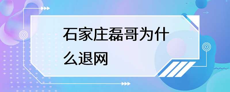 石家庄磊哥为什么退网